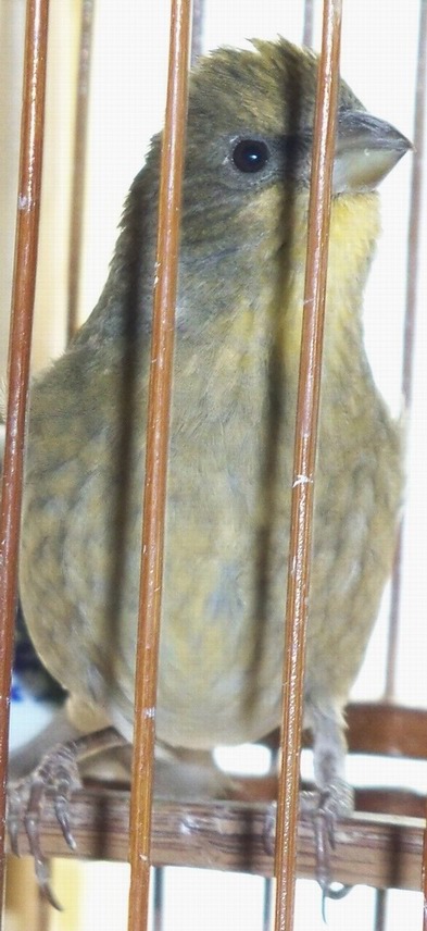 料2.JPG