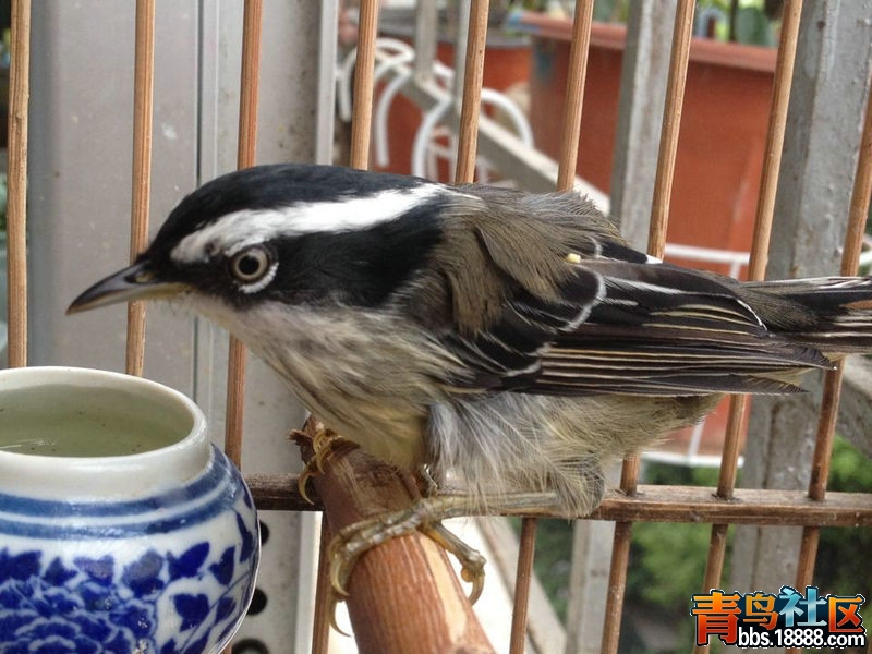 QQ图片20140413082508.jpg