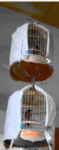 QQ截图20140413124730.gif