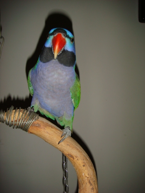 DSC08890.JPG