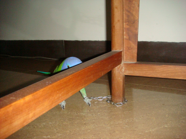 DSC08907.JPG