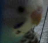 QQ图片20140402175552.jpg
