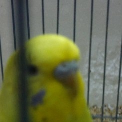 QQ图片20140402175500.jpg