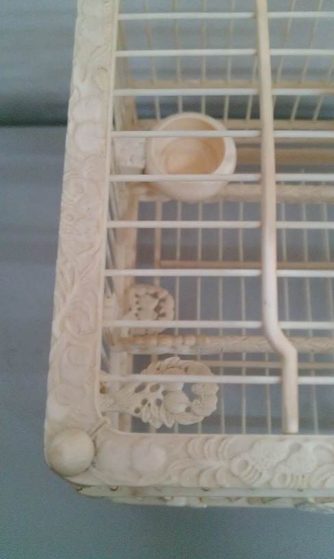 IMAG0533.jpg