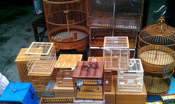 IMAG0551.jpg