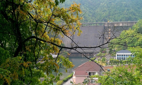 IMAG0617.jpg