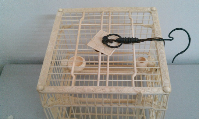 IMAG0531.jpg