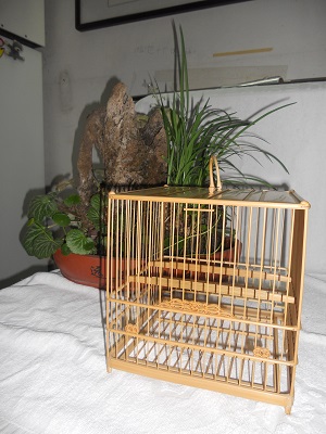 DSCN4688.JPG