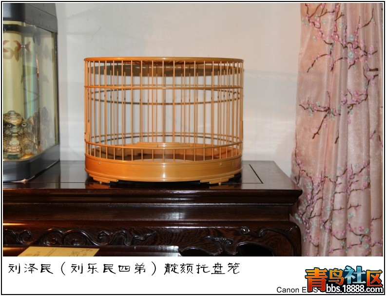 照片 079.jpg