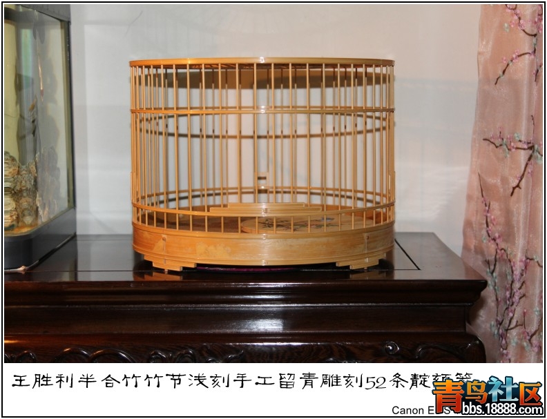 照片 017.jpg