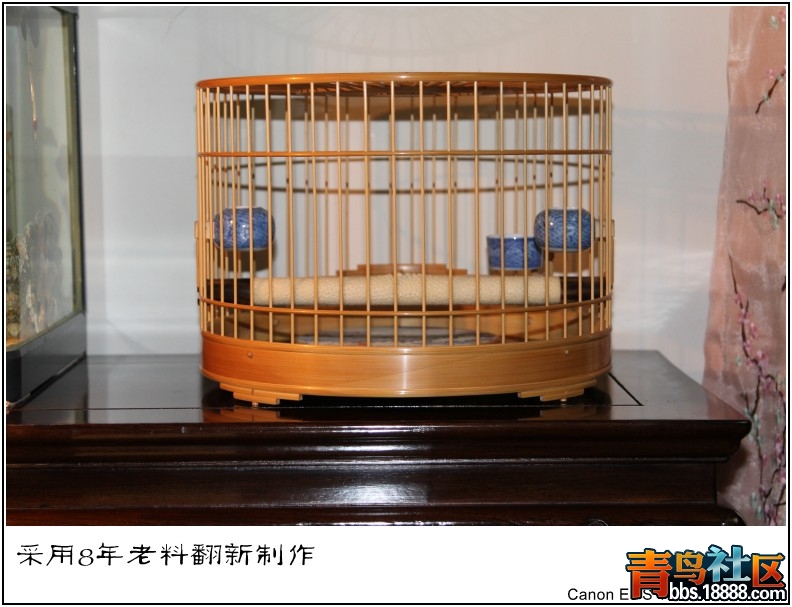 照片 007.jpg