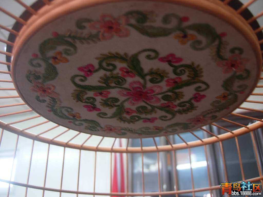 DSCN3912.jpg