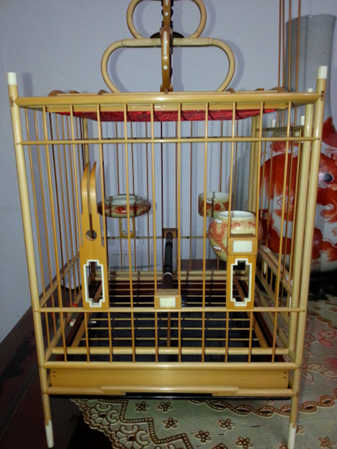 20140425_202157.jpg