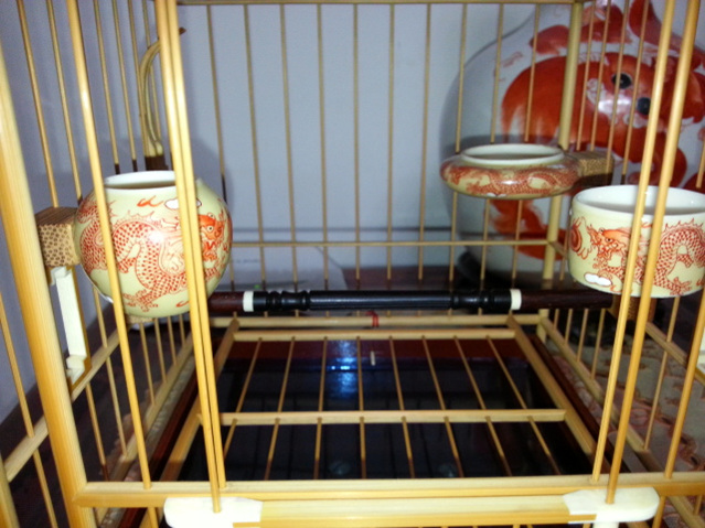 20140425_202124.jpg
