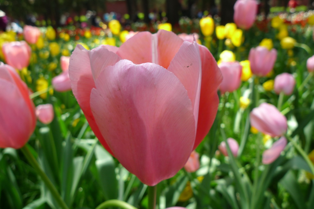 P1040464_调整大小.JPG