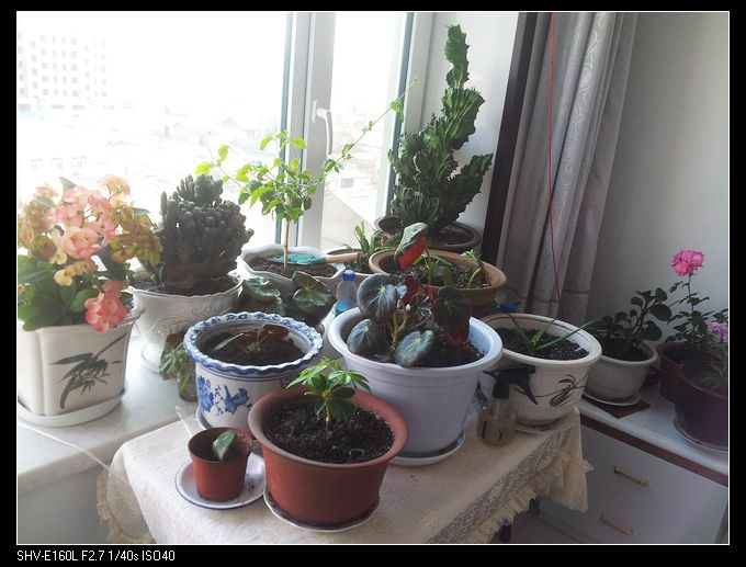 nEO_IMG_20140413_151622.jpg