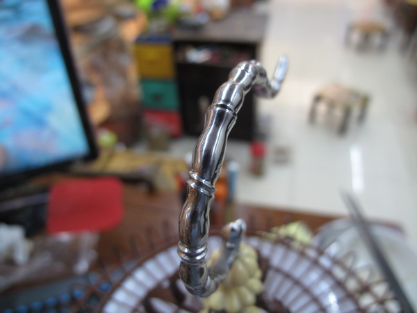 IMG_6444_调整大小.JPG