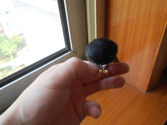 DSCN2944.JPG
