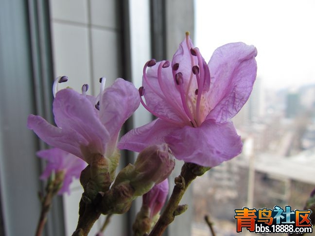 IMG_7573.JPG