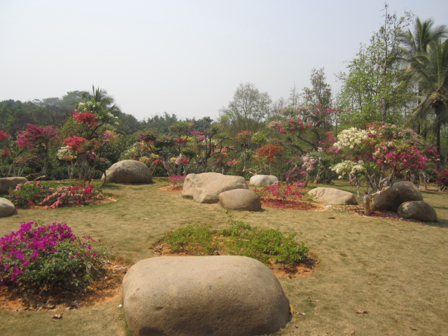 128.JPG