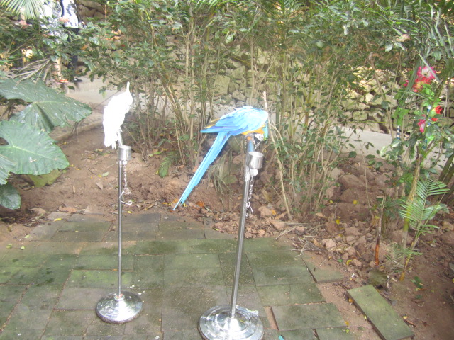 16.JPG
