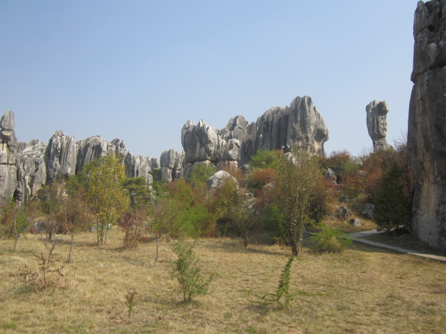 39.JPG