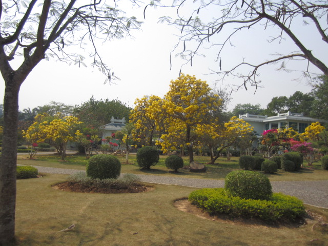 123.JPG