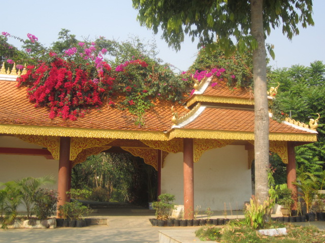 79.JPG