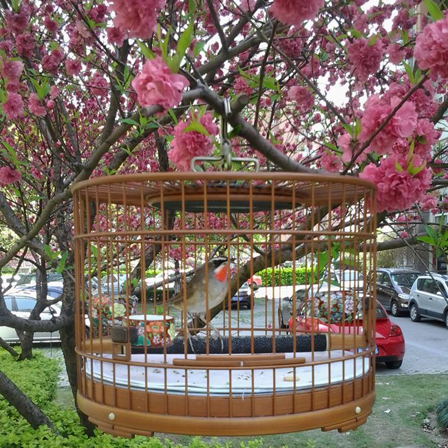 2014-04-06 11.27.58_副本.jpg