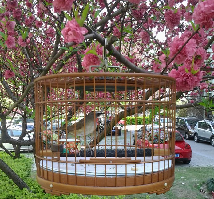 2014-04-06 11.27.51_副本.jpg
