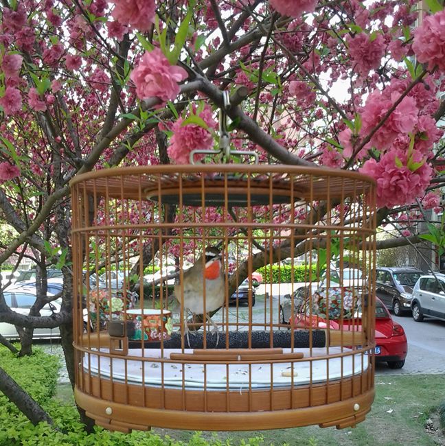 2014-04-06 11.27.56_副本.jpg