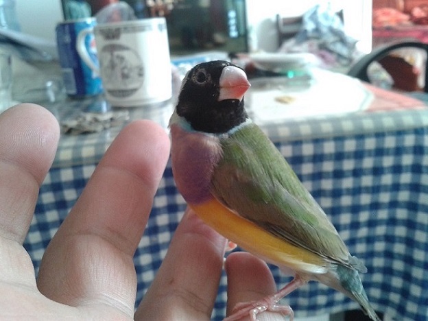 20140406_161214.jpg