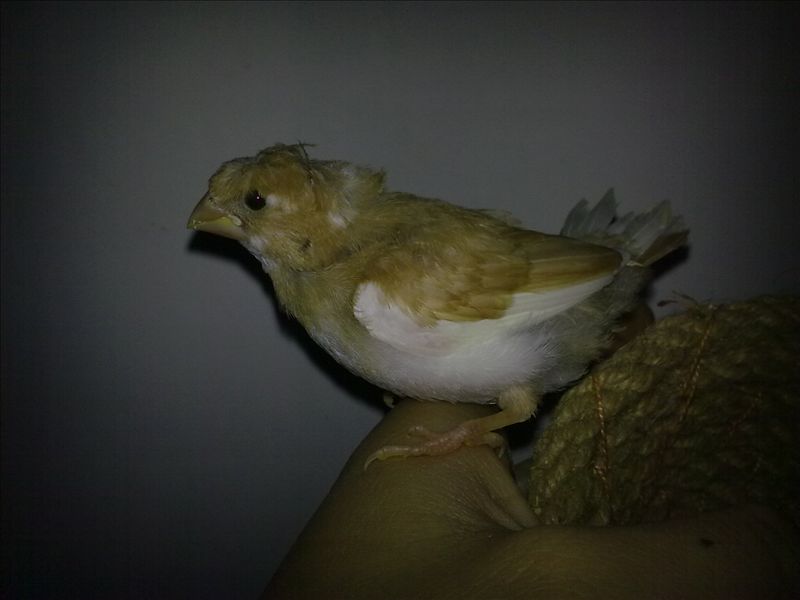 201011281250.jpg