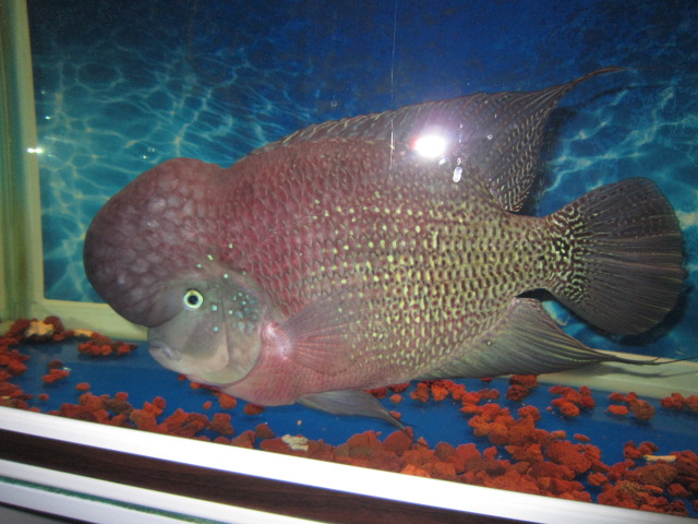 照片 008.jpg