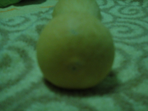 DSC04260_副本.jpg