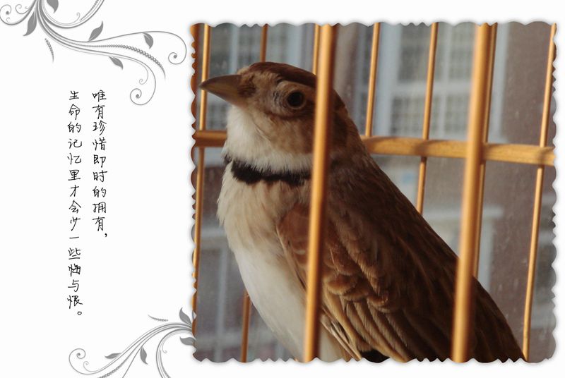 阿奔12.jpg