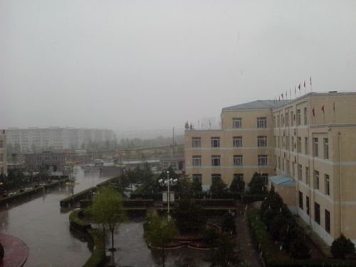 IMG_20140425_080815.jpg