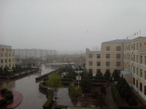 IMG_20140425_080811.jpg