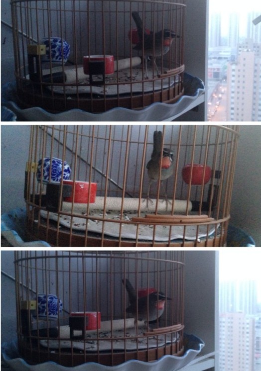 今早状态.jpg