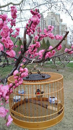 20140330_182903_副本3.jpg