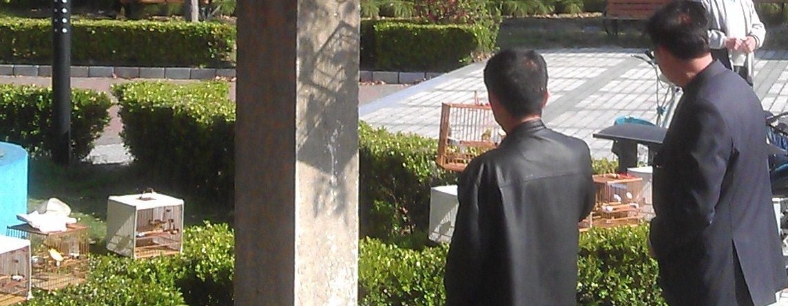 IMAG0398.jpg