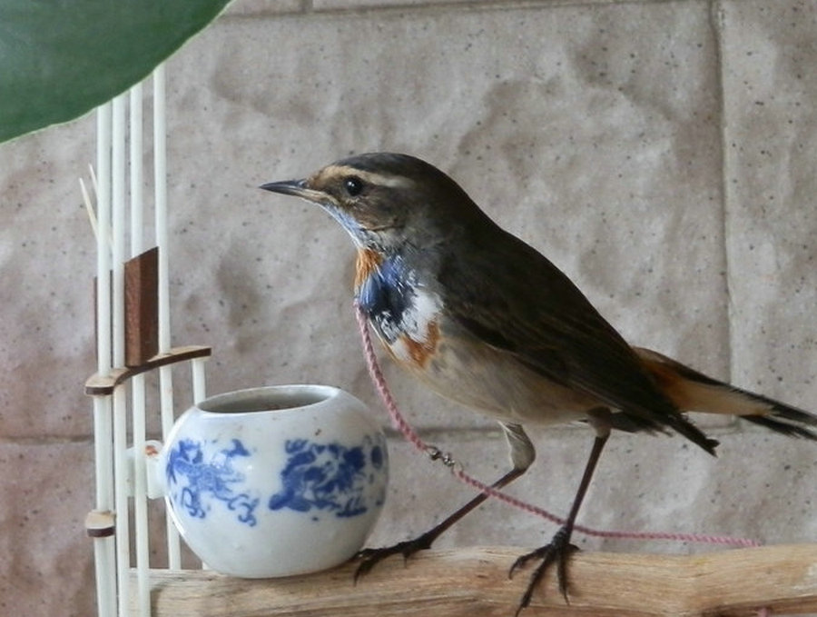 PA270477.JPG