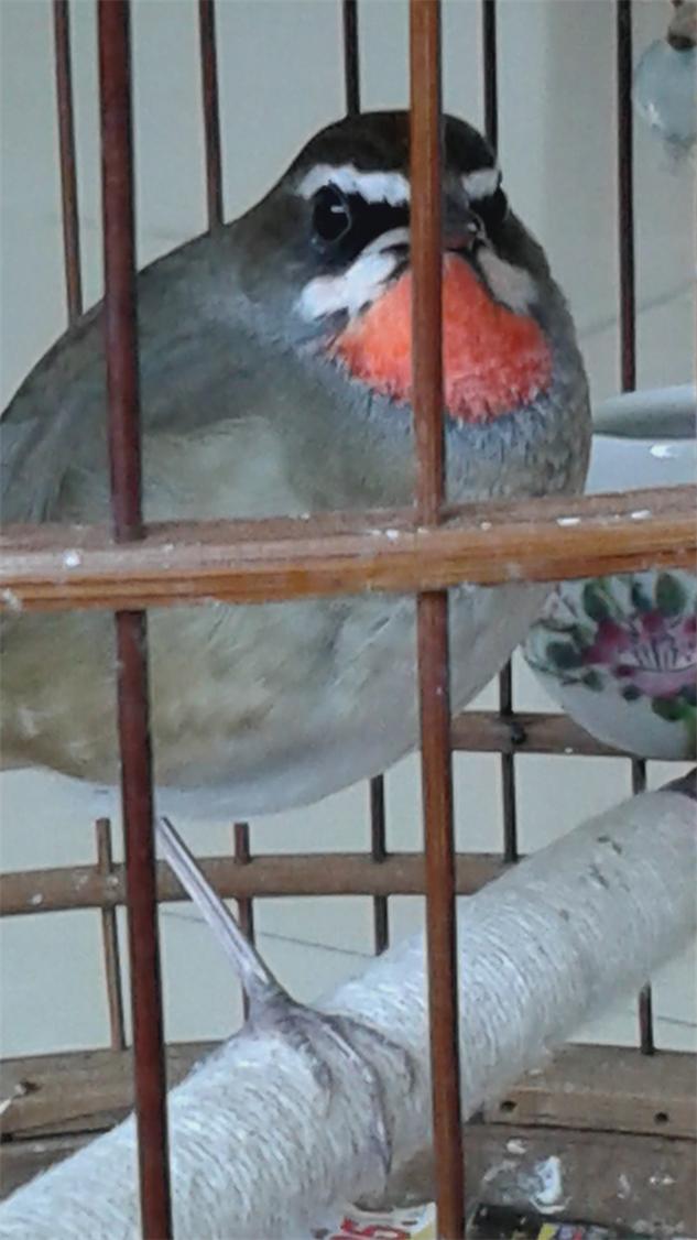 20140331_124323.jpg