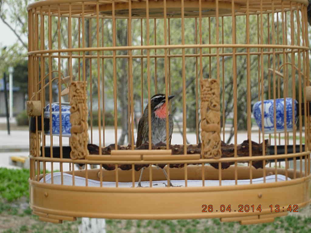 DSCN3752.JPG