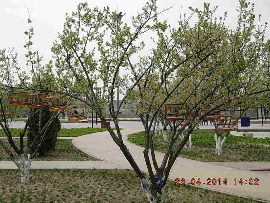 DSCN3797.JPG