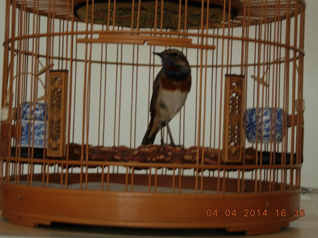 DSCN3583.JPG