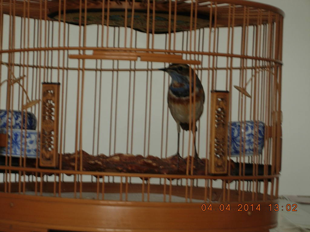 DSCN3510.JPG