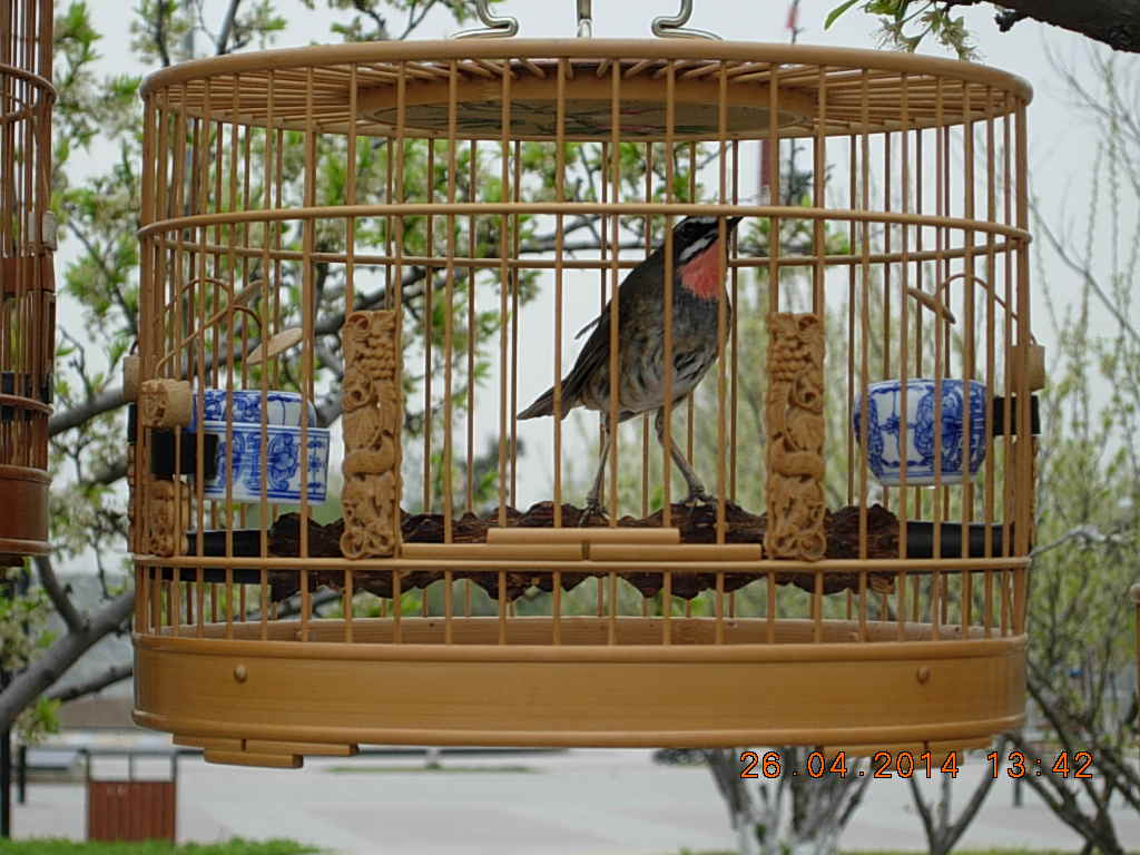 DSCN3753.JPG
