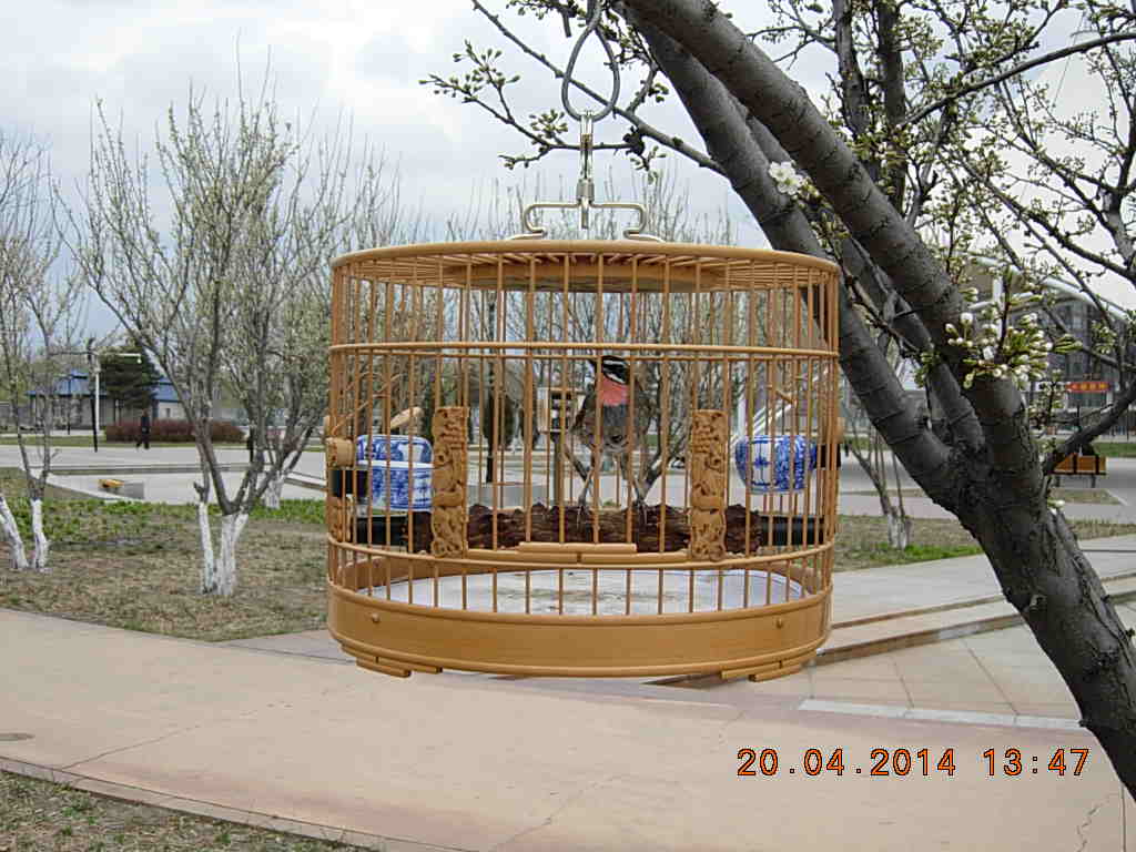 DSCN3668.JPG