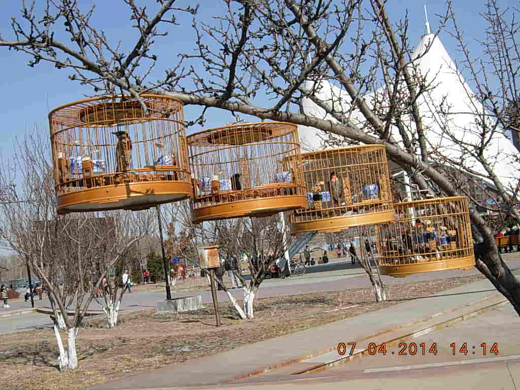 DSCN3612.JPG